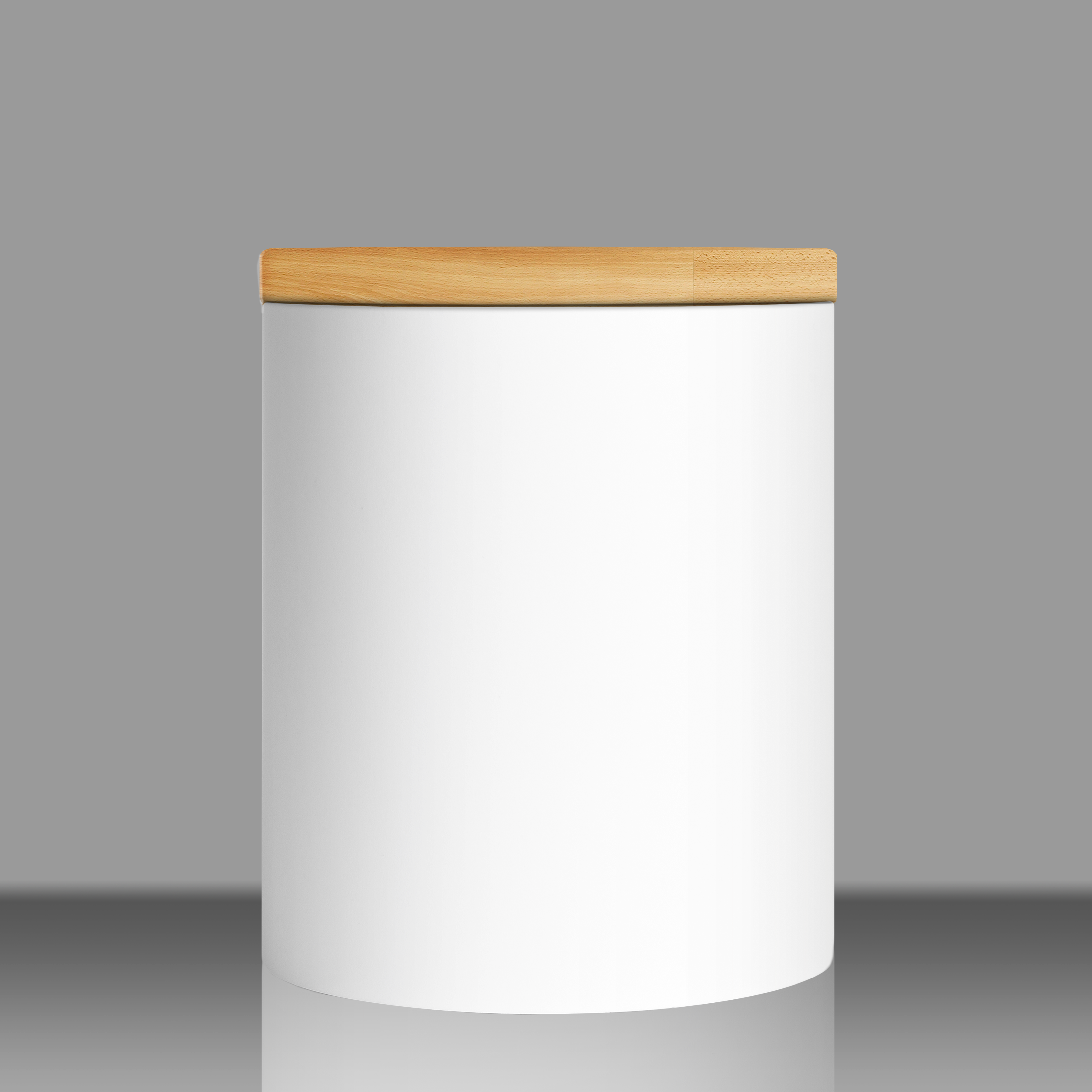 Canister-alone-mockup-square.png